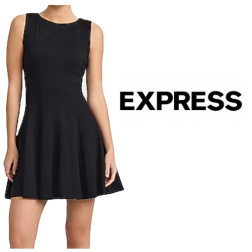 Express Black Sleeveless Fit & Flare Mini Dress